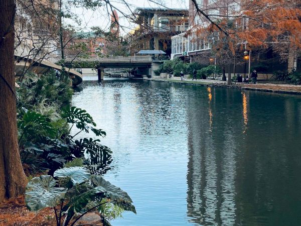 A tranquil urban canal with reflections, a bridge, trees shedding leaves, and tall buildings lining the water, peaceful city scenery.