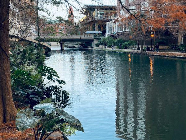 A calm urban canal lined with trees and buildings, a small bridge in the distance, reflecting blue sky on still water.