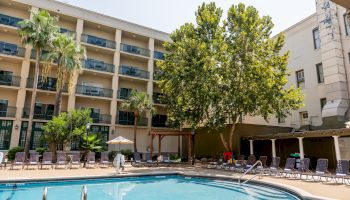 A hotel-style pool area with lounge chairs, palm trees, and a multi-story building in the background.