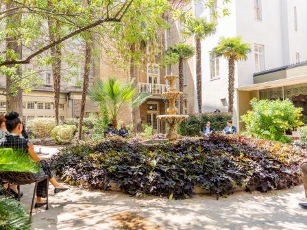 People relax in a sunny courtyard with palm trees and a circular shrub bed, seating around and a fountain in the center.