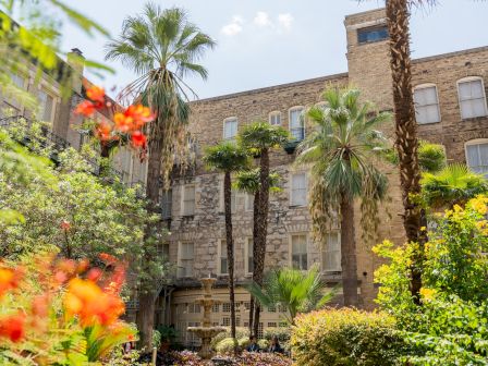 Lush tropical garden path leads to a brick building with palm trees and vibrant flowers, sunny sky above, serene resort vibe.