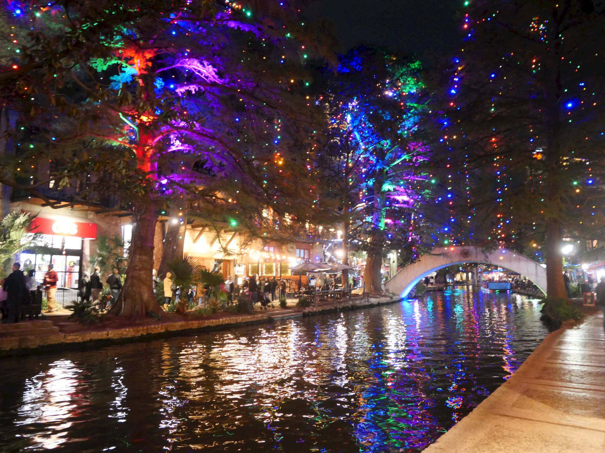 A nighttime park scene with colorful LED lights wrapped around palm trees and a lit walkway over a pond, reflecting on the water.